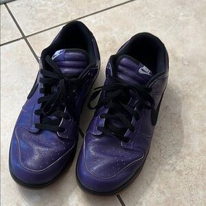 Nike Dunk Low Purple Lobster shoes